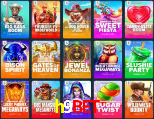 Premium Interface h9bet